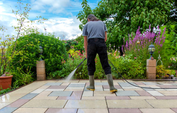  Forest Lake, IL Pressure Washing Pros